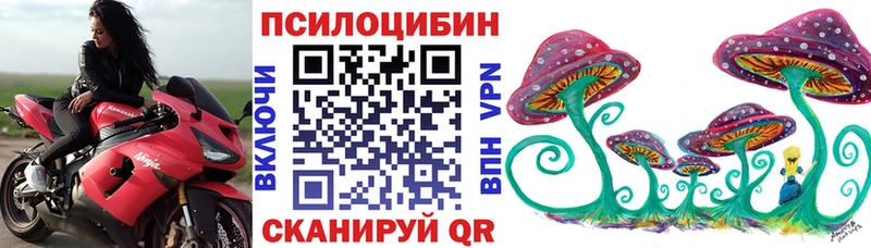 Галлюциногенные грибы Psilocybine cubensis  Саки 